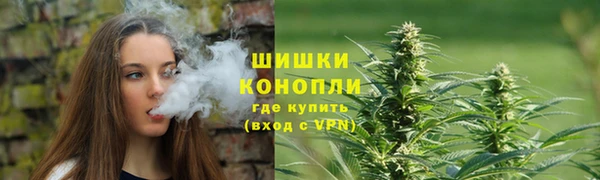 ГАЛЛЮЦИНОГЕННЫЕ ГРИБЫ Белокуриха