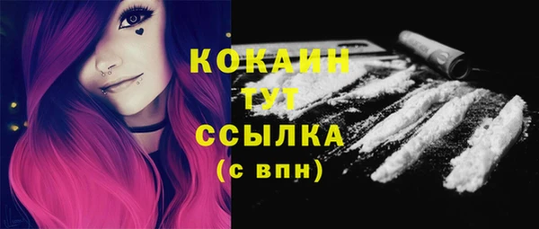 ГАЛЛЮЦИНОГЕННЫЕ ГРИБЫ Белокуриха