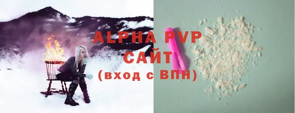ГАЛЛЮЦИНОГЕННЫЕ ГРИБЫ Белокуриха