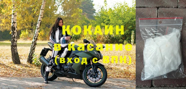 ГАЛЛЮЦИНОГЕННЫЕ ГРИБЫ Белокуриха