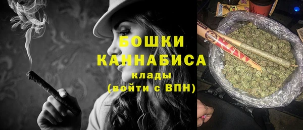 ГАЛЛЮЦИНОГЕННЫЕ ГРИБЫ Белокуриха